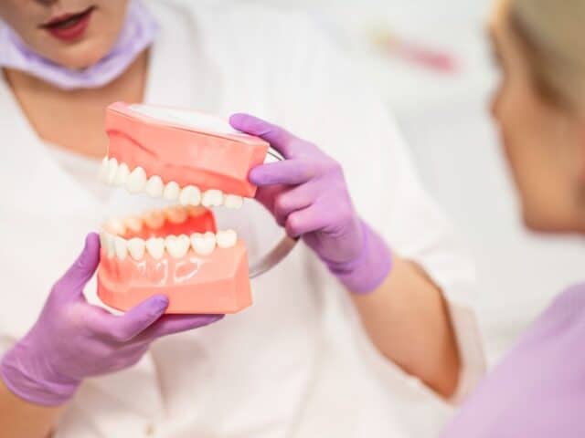 Close up of a female dentist holding artificial jaw showing how it works to a women having dental inspection.